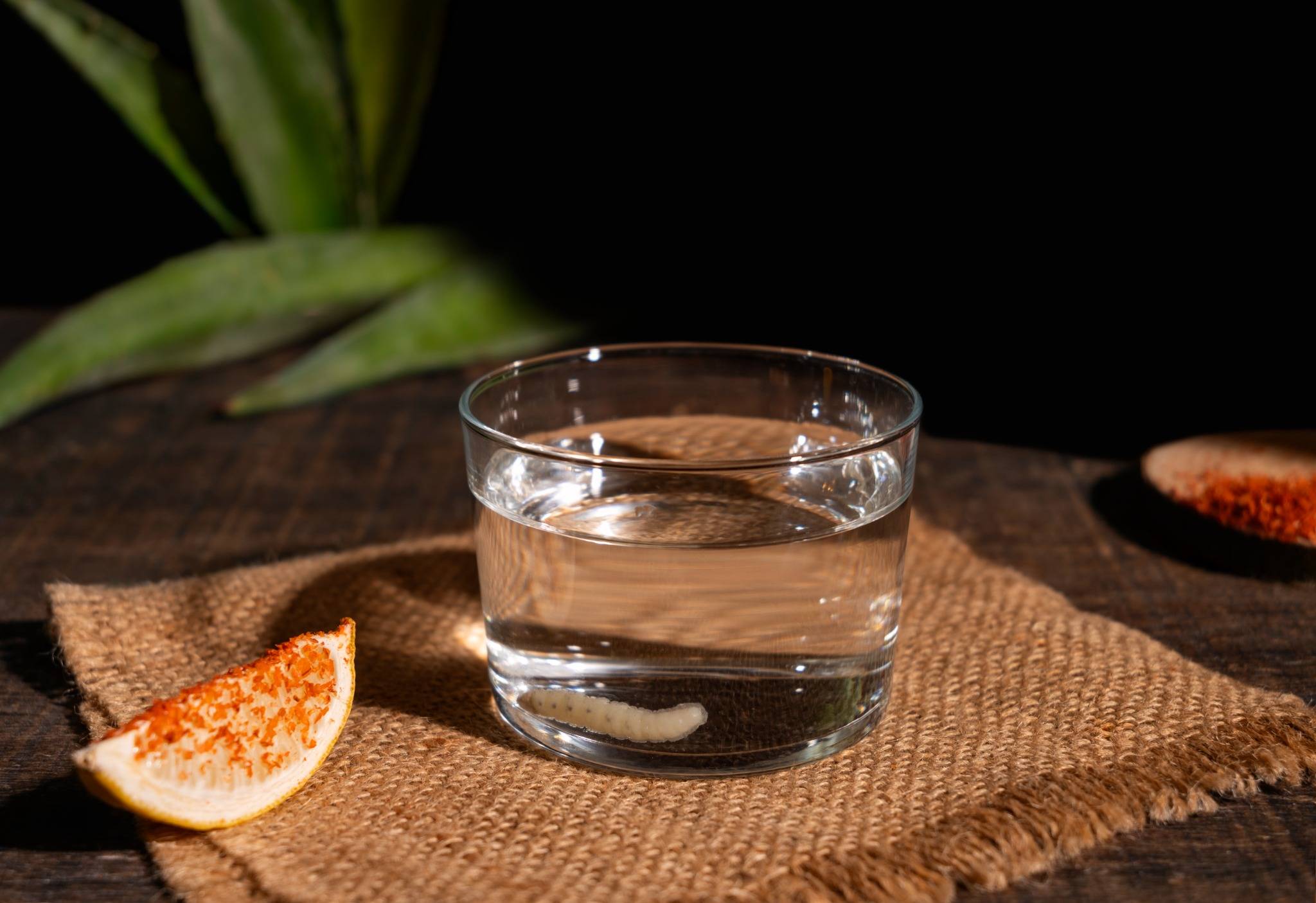 Warum gefiltertes Wasser besser für Ihre Gesundheit ist